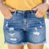 Blue Denim Pockets Simple Shorts